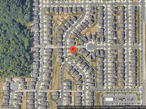 Cassius, LACEY, WA 98516