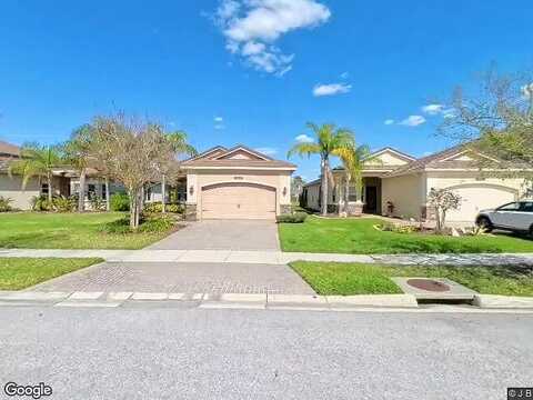 Tarragona, WESLEY CHAPEL, FL 33543