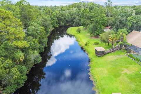Geese, LAND O LAKES, FL 34639
