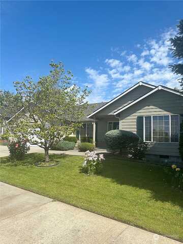 Hawk, WALLA WALLA, WA 99362
