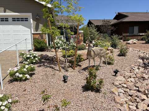 Durango, PAYSON, AZ 85541