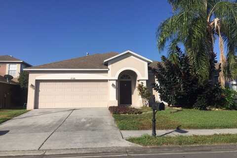 Lady Palm, TRINITY, FL 34655