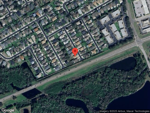 Lady Palm, TRINITY, FL 34655