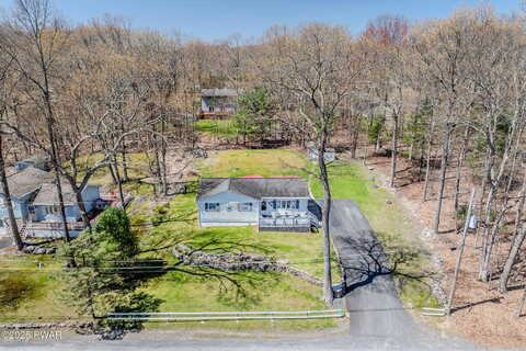 Lace, EAST STROUDSBURG, PA 18302