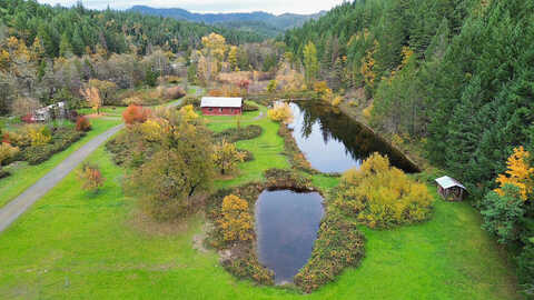 Redwood, WILDERVILLE, OR 97543