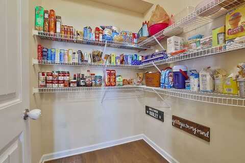 Ivey Hollow, DAWSONVILLE, GA 30534