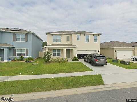 Iguana, DAVENPORT, FL 33897