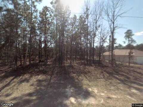 131St, OCALA, FL 34473