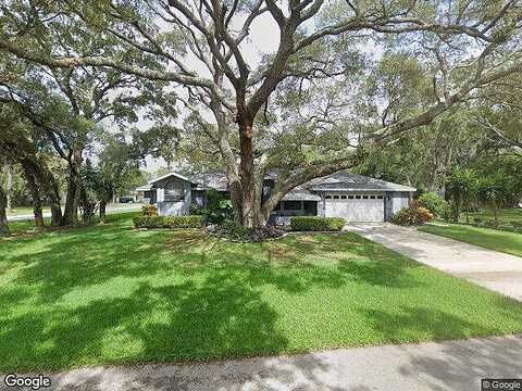 Leafy Way, SPRING HILL, FL 34606