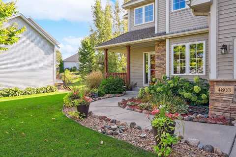 Red Pine, SAINT PAUL, MN 55123
