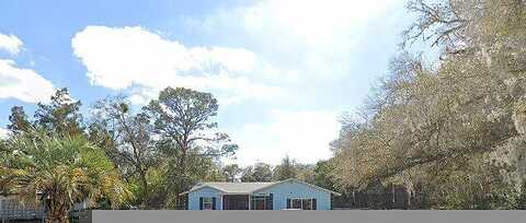 Hibiscus, DADE CITY, FL 33523