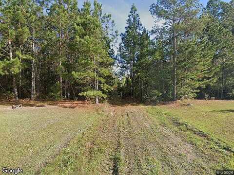 Coleman, LUDOWICI, GA 31316