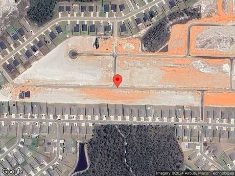 Privet Berry, GULF BREEZE, FL 32563