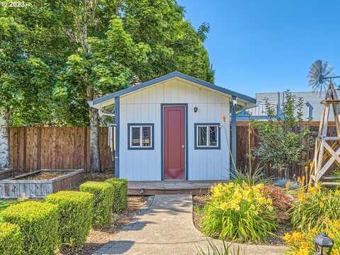 Yew, FOREST GROVE, OR 97116