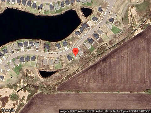 Spruce, FARMINGTON, MN 55024