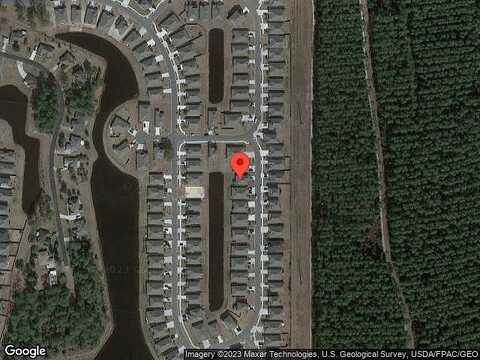 Whitebark, JACKSONVILLE, FL 32218