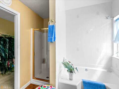 Pebble Ridge, HAMPTON, GA 30228