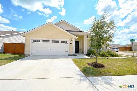 Horsemint, SAN MARCOS, TX 78666