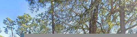Crooked Pine, PORT ORANGE, FL 32128