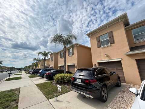 Trumpet Vine, TRINITY, FL 34655