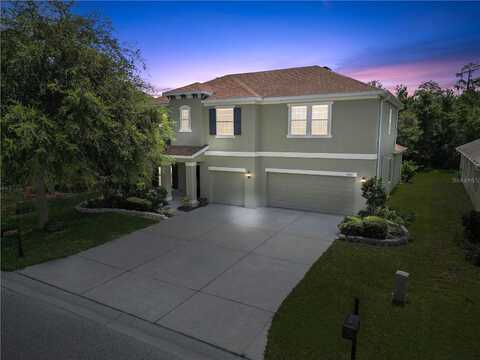 Creedmoor, NEW PORT RICHEY, FL 34654