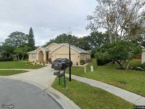 Danubian, TRINITY, FL 34655