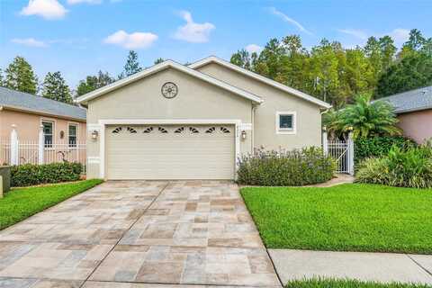 Ponkan, LAND O LAKES, FL 34637