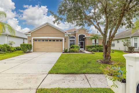 Maysville, WESLEY CHAPEL, FL 33545