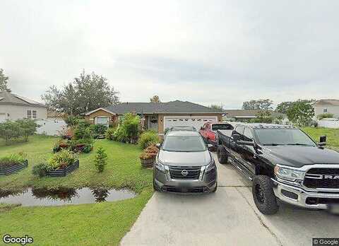 Parakeet, KISSIMMEE, FL 34759