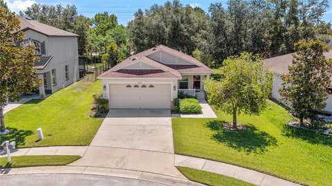 Old Waverly, WESLEY CHAPEL, FL 33543