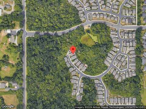 Fuchsia, BELLINGHAM, WA 98226