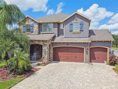 Canino, WESLEY CHAPEL, FL 33543