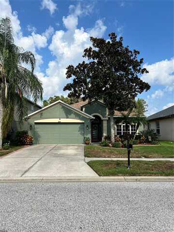 Duke Firth, LAND O LAKES, FL 34638