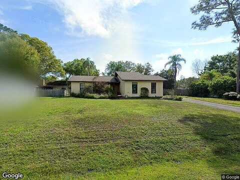 Briarbrook, LAND O LAKES, FL 34639