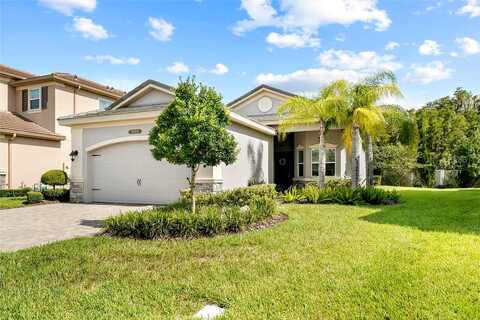 Lindentree, WESLEY CHAPEL, FL 33543