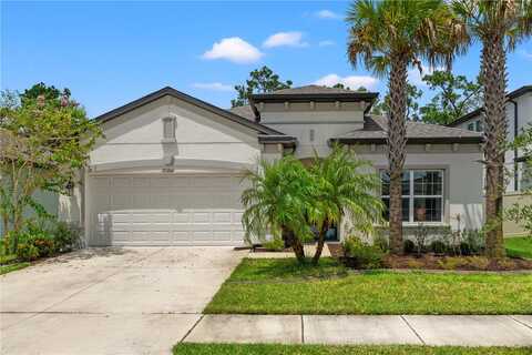 Marquette, WESLEY CHAPEL, FL 33545