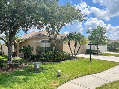Banyan Hill, LAND O LAKES, FL 34639