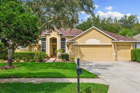 Fordham, WESLEY CHAPEL, FL 33544