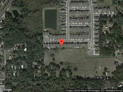 Hinoki Cypress, SANFORD, FL 32773