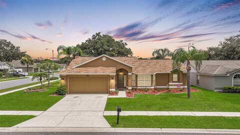Twin Lake, LAND O LAKES, FL 34639