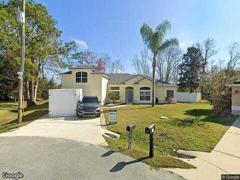 Squirrel, PALM COAST, FL 32164
