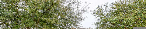 Cactus Patch, SCHERTZ, TX 78154