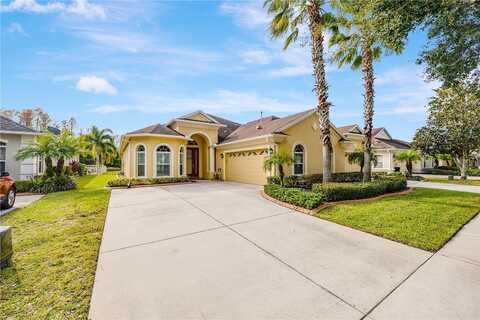 Amanda Oak, LAND O LAKES, FL 34638