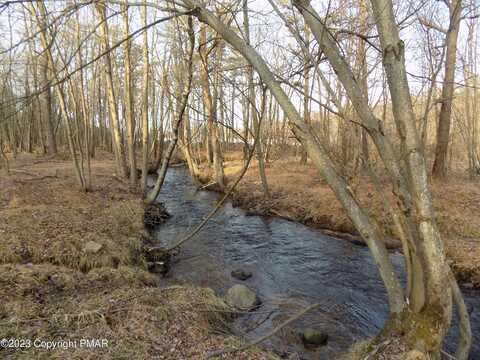 Mountain, ALBRIGHTSVILLE, PA 18210