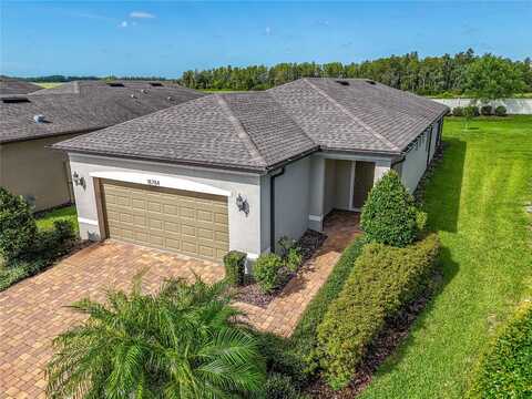 Coastal Shore, LAND O LAKES, FL 34638