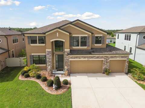 Malinche, SPRING HILL, FL 34610