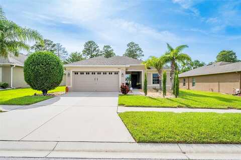 Waydale, HUDSON, FL 34667
