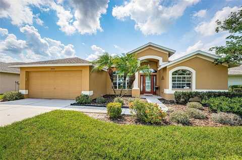 Cadway, TRINITY, FL 34655