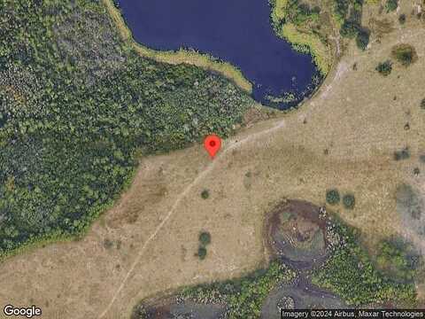 Saw Palmetto, CLERMONT, FL 34714