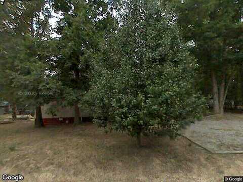 Sparrow, TRENTON, GA 30752